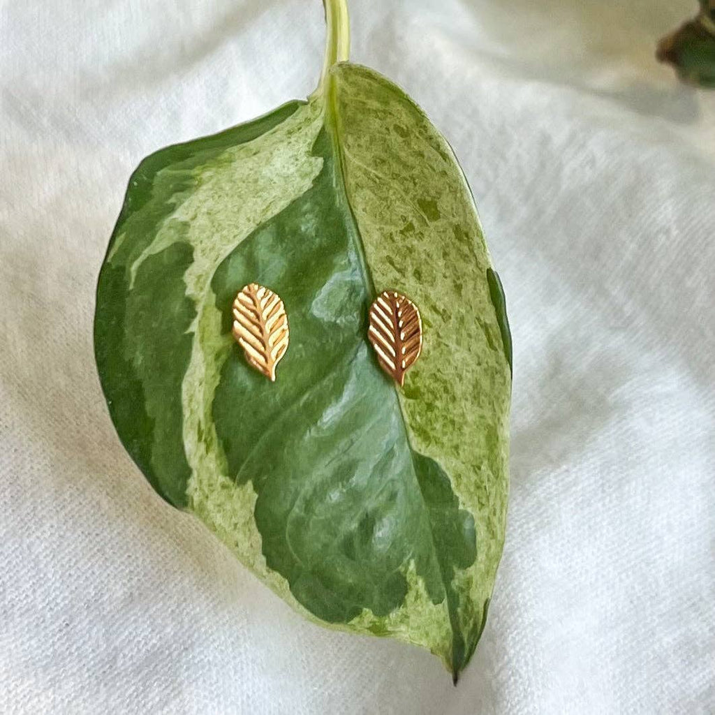 Little Leaf Stud