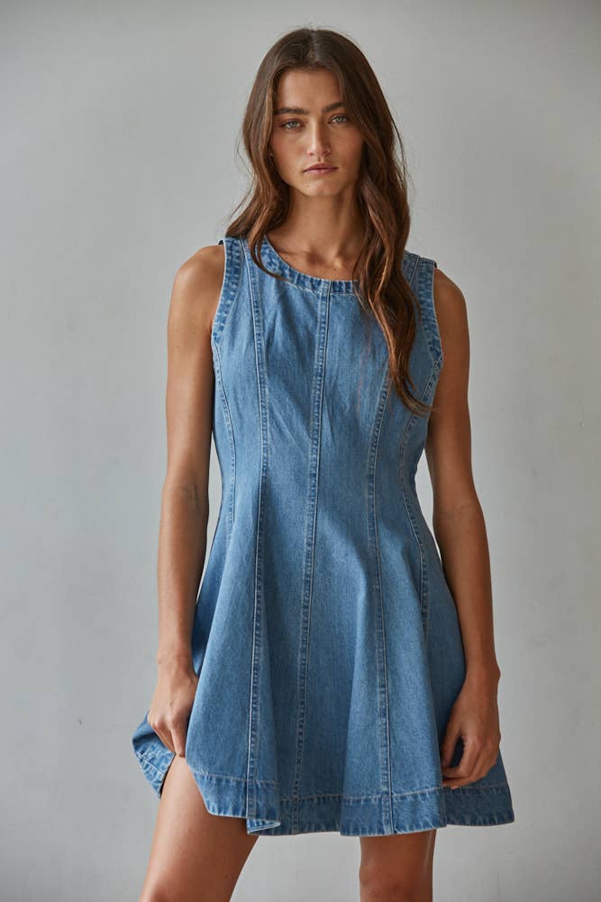 The Olivia Denim Dress