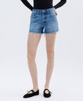 High Rise Denim Shorts