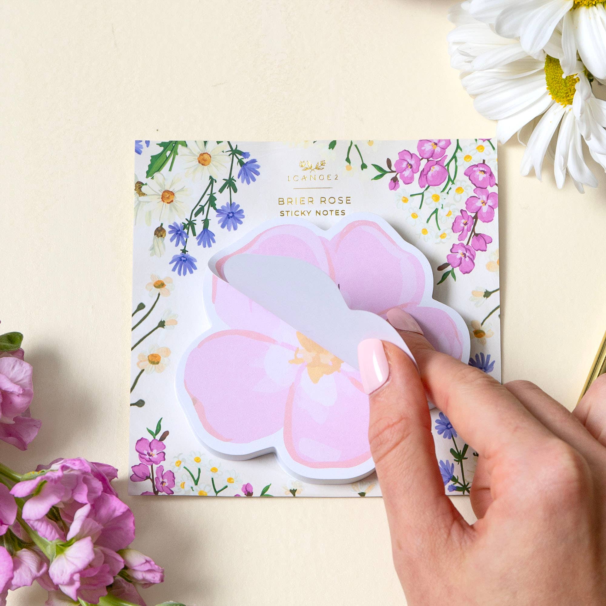Vintage Blooms Brier Rose Sticky Notes